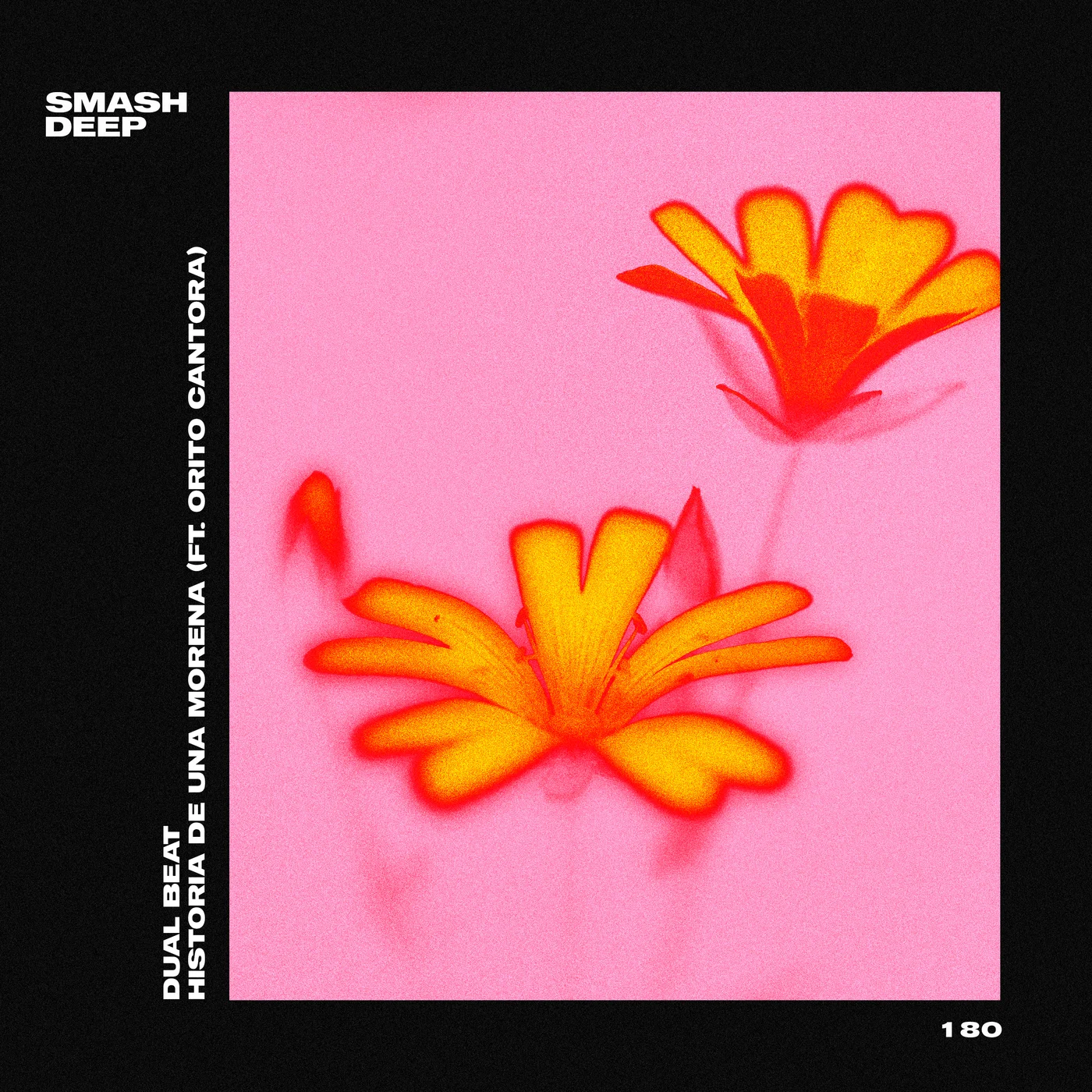 Historia de una Morena - Dual Beat, Orito Cantora